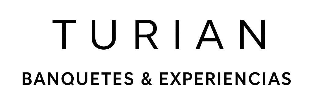 Copia de ChatGPT LOGO TURIAN NEGRO